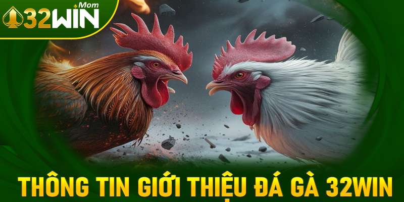 Thông tin giới thiệu đá gà 32win sảnh cá cược đẳng cấp
