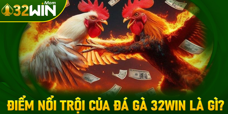 Một số điểm nổi trội trội tại sảnh đặt cược đá gà 32win gồm những gì?